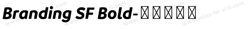 Branding SF Bold字体转换